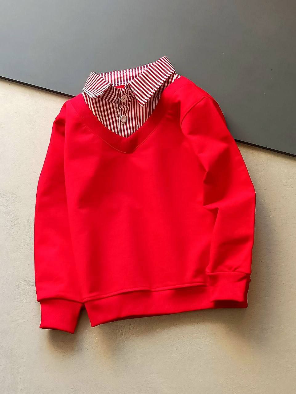 عکس محصول بلوز دو یقه - شماره 2